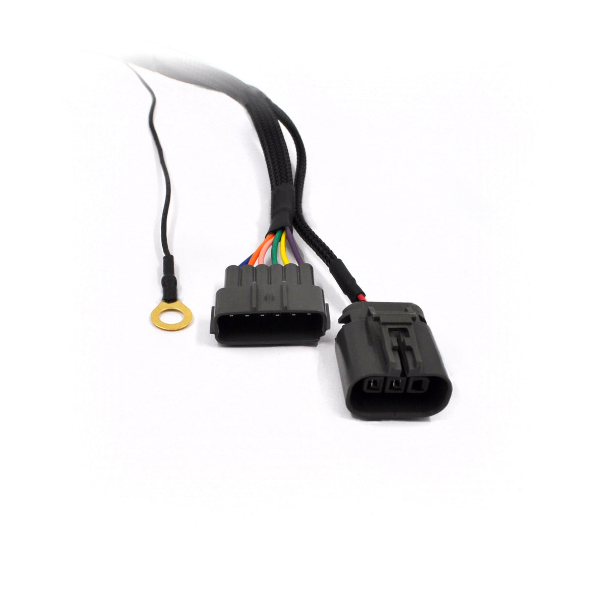 VR38 Coil Conversion Wiring Looms