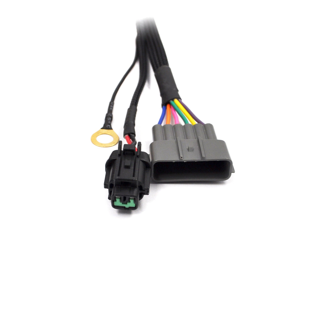 VR38 Coil Conversion Wiring Looms